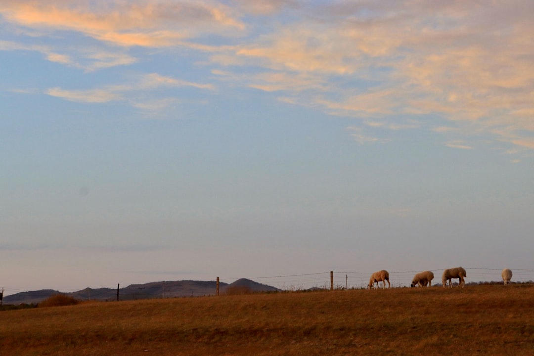 The Art of Slow Travel: Embracing Nature and Mindfulness